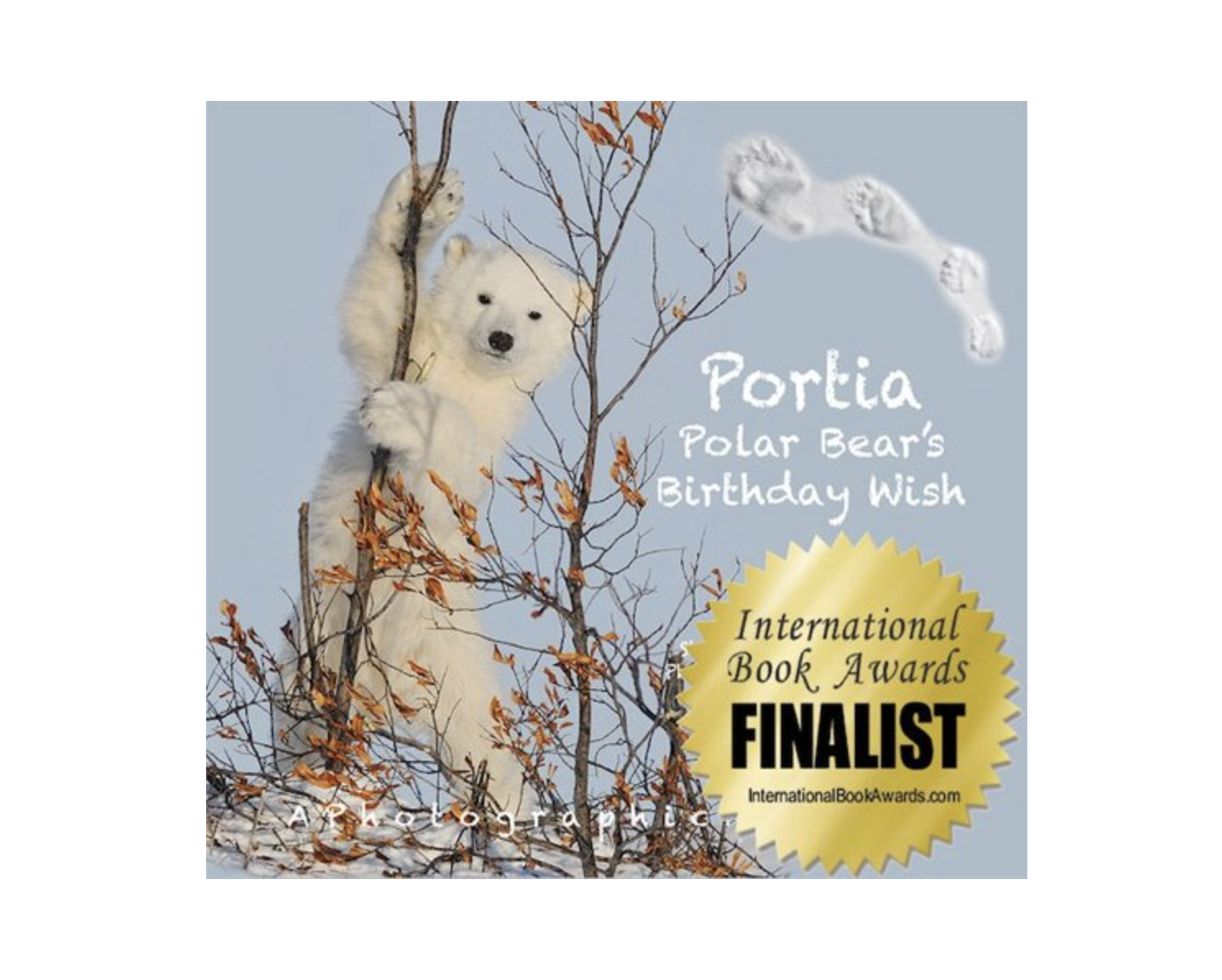 Book Review: Portia Polar Bear's Birthday Wish